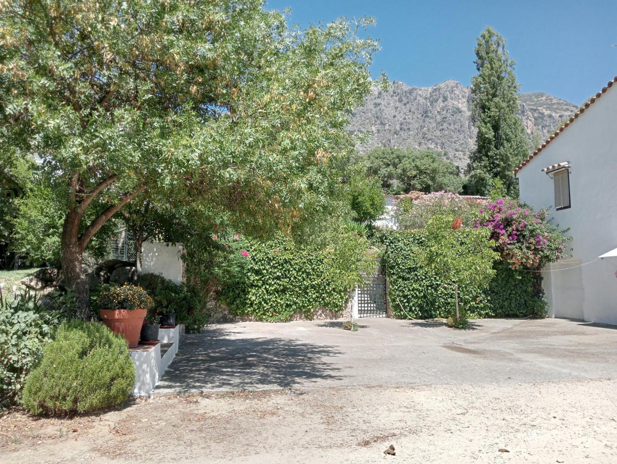 Casa Rural La Maquinilla Grazalema Exterior foto